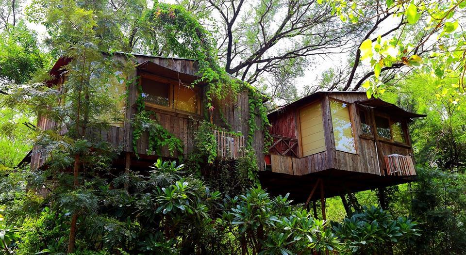 An Experience to Cherish-Tree House Resort of Jaipur