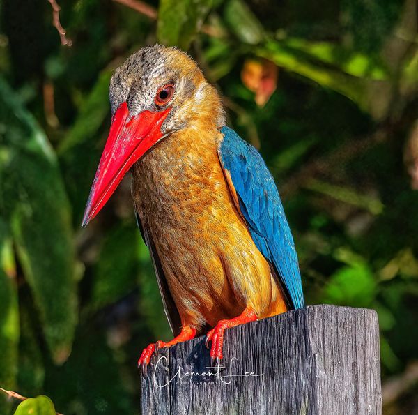 Family Jungle Tours Borneo: The best activities to enjoy together